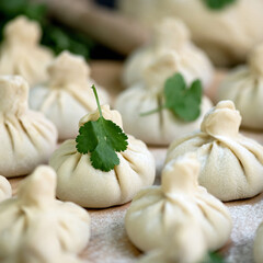 National Georgian dish khinkali. Uncooked dumplings or Raw dough with meat filling sprinkled with flour and decorated with herbs. Cooking process. Close up shot. Soft focus.