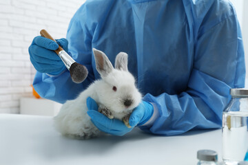 Scientist with rabbit and makeup brush in chemical laboratory, closeup. Animal testing