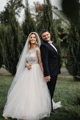 beautiful newlyweds are walking in the park. wedding couple in nature. portrait of the bride and groom. wedding day of a couple in love. thuja on the background of young people.