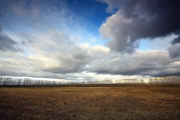 dramatic autumn landscape field sky abstract concept sadness