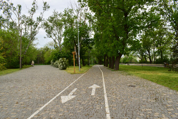 park and alley. Odessa city with big industrial port. walk in the park, bike path, drawn direction signs. spring alley in the city square, in the fresh sea air. concept of tourism, travel. Ukraine