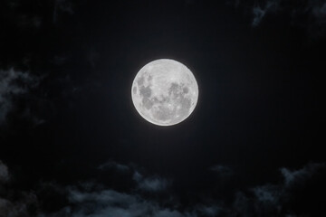 Fototapeta na wymiar Full Moon, Supermoon, Worm Moon