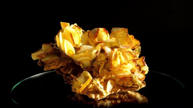 White and yellow matt amber desert rose rotates on glass