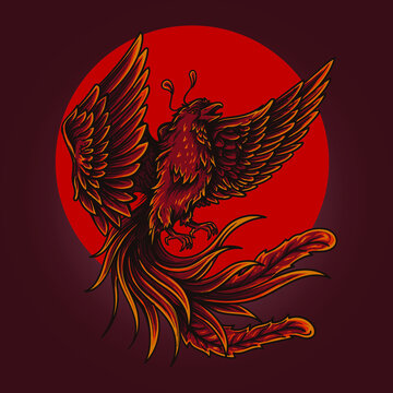 artwork illustration and t-shirt design phoenix