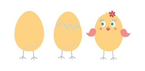 The birth of a chicken from an egg. Chicken in the shell. Funny yellow chicken. Easter chick on a white background.