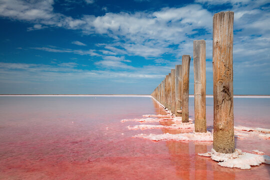 Miracle of nature - pink color of salt lake, Ukraine. Minimalistic landscape