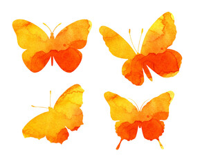 Watercolor illustration of a beautiful orange butterfly seal. Trapholes of insects. Watercolor blots, moth-shaped stains. Isolated on white.