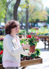 Fototapeta premium Woman holds a pot with flowers in a garden store