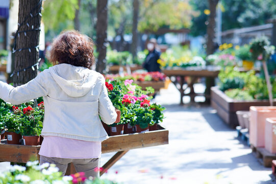 Woman With Her Back Turned In A Garden Shop