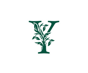 Nature Y Letter Floral logo. Vintage classic ornate letter vector.