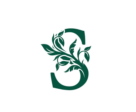 Nature S Letter Floral logo. Vintage classic ornate letter vector.
