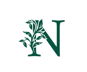 Nature N Letter Floral logo. Vintage classic ornate letter vector.