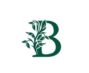 Nature B Letter Floral logo. Vintage classic ornate letter vector.