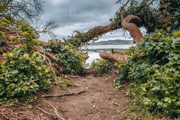 Howth peninsula viewed from  Bull Island. Beautiful Irish landscape in March.