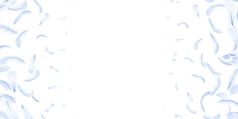 Feather isolated. Abstract bird feather texture closeup falling on white background in pattern photography. Concept of sensitivity responsiveness to nature.