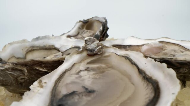 Сlose-up fresh oysters on ice and sea salt granules 4K. Macro texture of the clam on white background slow motion. Seafood aphrodisiacs. Laowa shot