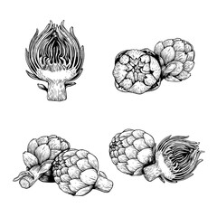 Hand drawn sketch artichokes. Healthy farm fresh vegetables. Whole and halved. Ink drawings. Vector illustrations isolated on white background.