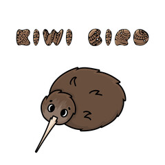 Vector outline doodle kiwi with cartoon text. Isolated illustration of brown flightless bird animal sitting on the ground on white background, top view
