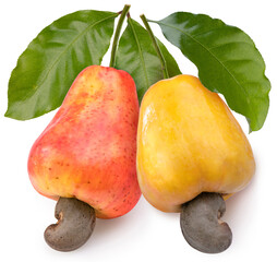 Fresh cashews and cashew nut with leafs on a white background, Fresh cashew nut on White Background With clipping path.