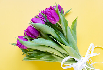 Beautiful tulips on the yellow background