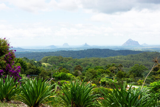 Glasshouse Mountains in Queensland visible through the mist from Maleny with botanical gardens in the foreground and a cloudy rainy sky.