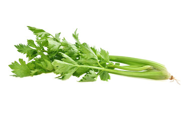 Fresh leaf celery isolated over a white background
