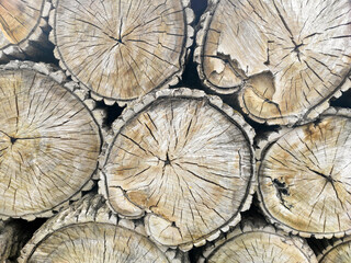 Pile of cut trees, firewood stack, tree pattern.