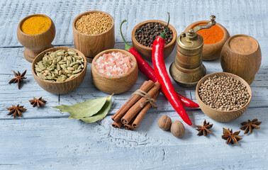 Spices for Indian cuisine