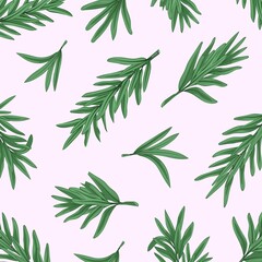 Fototapeta premium Fresh rosemary branches. Texture.