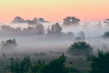 Fototapeta premium landscape with fog in an early summer morning. Waiting for the sun to rise.
