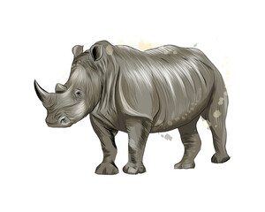 Obraz premium Rhinoceros from a splash of watercolor, colored drawing, realistic. Vector illustration of paints