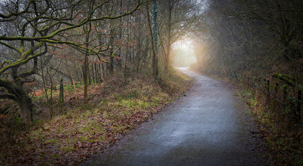 Obraz premium A country lane