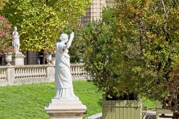 Obraz premium garden in the park