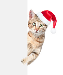 Tabby cat wearing red christmas hat looks from behind empty white banner. Empty space for text. isolated on white background