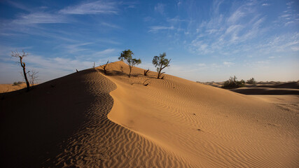 Fototapeta na wymiar A sand dune and blue sky in the Morocco, Sahara Desert.