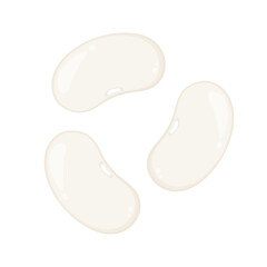 White kidney beans vector. White kidney beans on white background.
