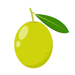 Olive vector. Olive on white background. wallpaper. free space for text. copy space.