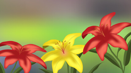 Red lily flower yellow blooming beautiful A pattern to draw, play, light and shadow, used for website work or making cards.
