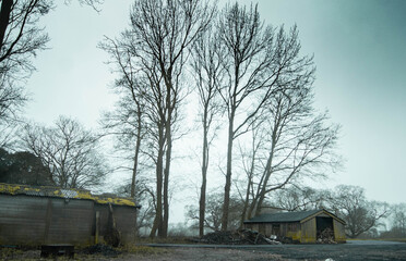 Obraz premium old abandoned hut