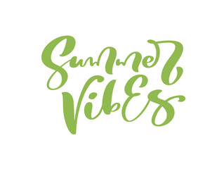 Calligraphy lettering text Summer Vibes. Vector Hand Drawn Isolated phrase. Brush composition illustration sketch doodle isolated design for greeting card, print