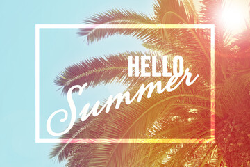 Hello Summer. Beautiful tropical palm trees outdoors on sunny day