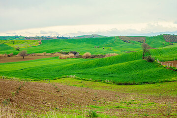 Fototapeta na wymiar Amazing landscape with green rolling hills in spring 