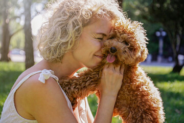 Adorable maltipoo puppy in arms of its loving owner. Adult woman outdoors playing with her small adorable doggy in the park. A hybrid between the maltese dog and miniature poodle. Close up, copy space
