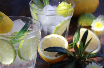 Glass with iced lemonade decorated with green leaves and lemon slices. 
