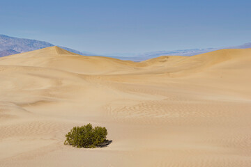sand dunes in the desert of Death Valley