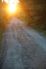 Dirt road lit by the rising sun in summer