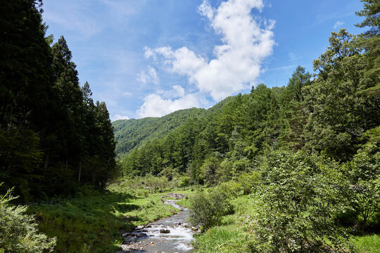 せせらぎ公園 Images Browse 195 Stock Photos, Vectors, and Video Adobe Stock