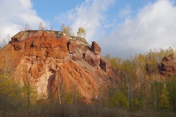 Red hills with birches against a blue sky.