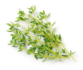 Thyme isolated on white background. Thyme herb with leaves top view. Macro.