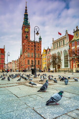 Pigeons in the old town of Gdansk, Poland